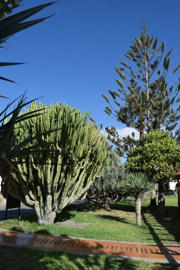 Parque Golf Fresh Daire Maspalomas  Dış mekan fotoğraf